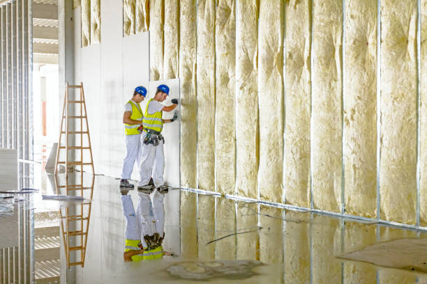 Types of Insulation We Offer in Swifton, AR